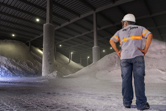 Profissional de logística da Tegma em pé observando montanha de barrilha